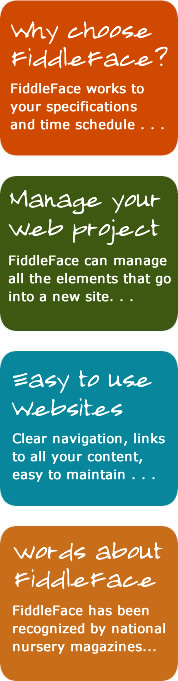 FiddleFace Web Design